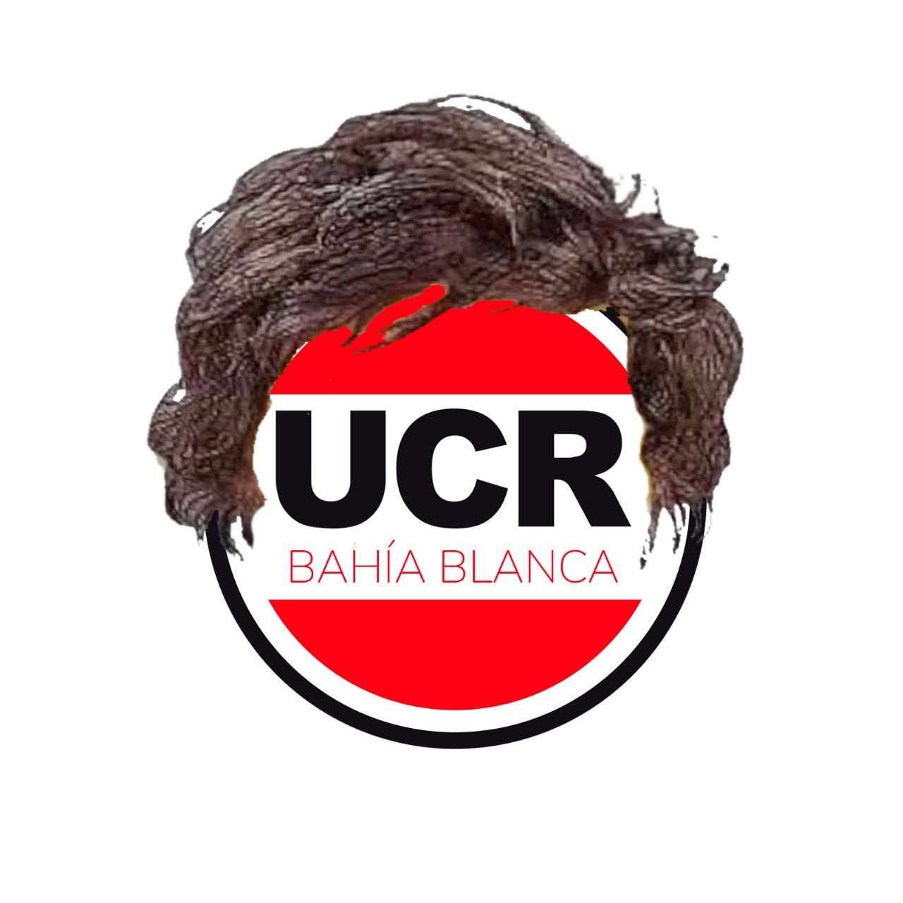Bizaeditorial